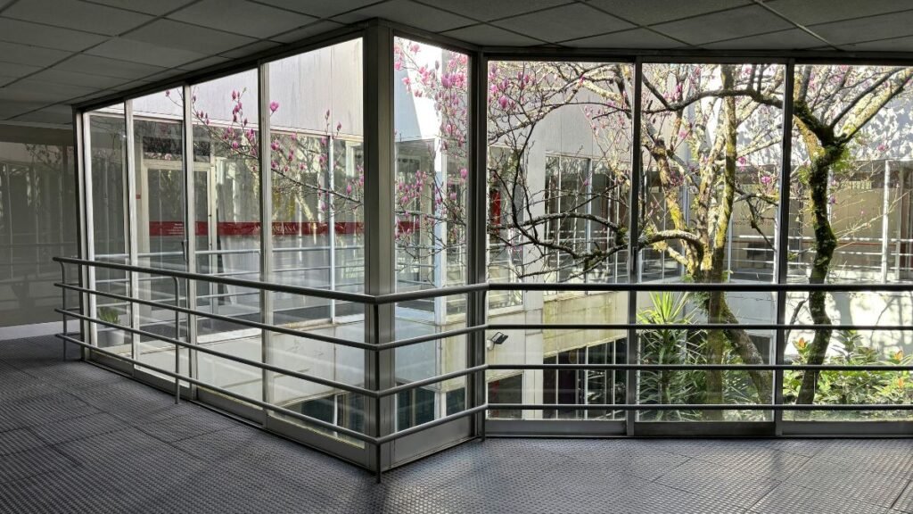 best energy efficient windows for hot and cold climates