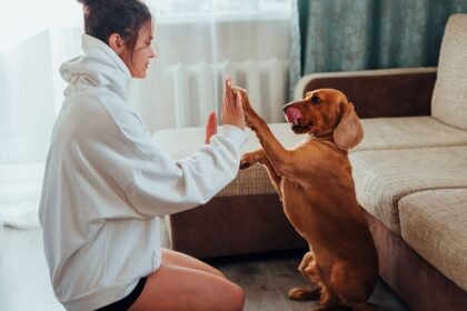 Best flooring for homes with large dogs featuring luxury vinyl plank.