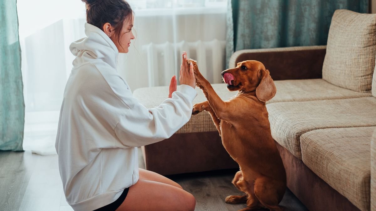 Best flooring for homes with large dogs featuring luxury vinyl plank.