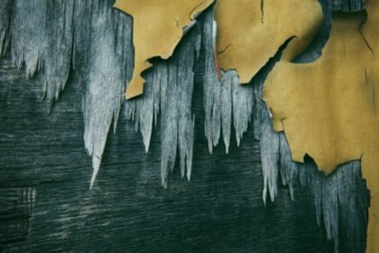 How to fix peeling paint on bathroom walls with simple DIY repair steps