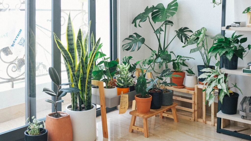 how to increase home value before selling