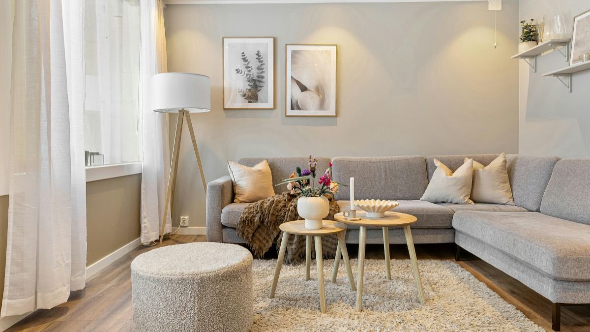 elegant beige living room ideas with cozy sofa and warm neutral decor