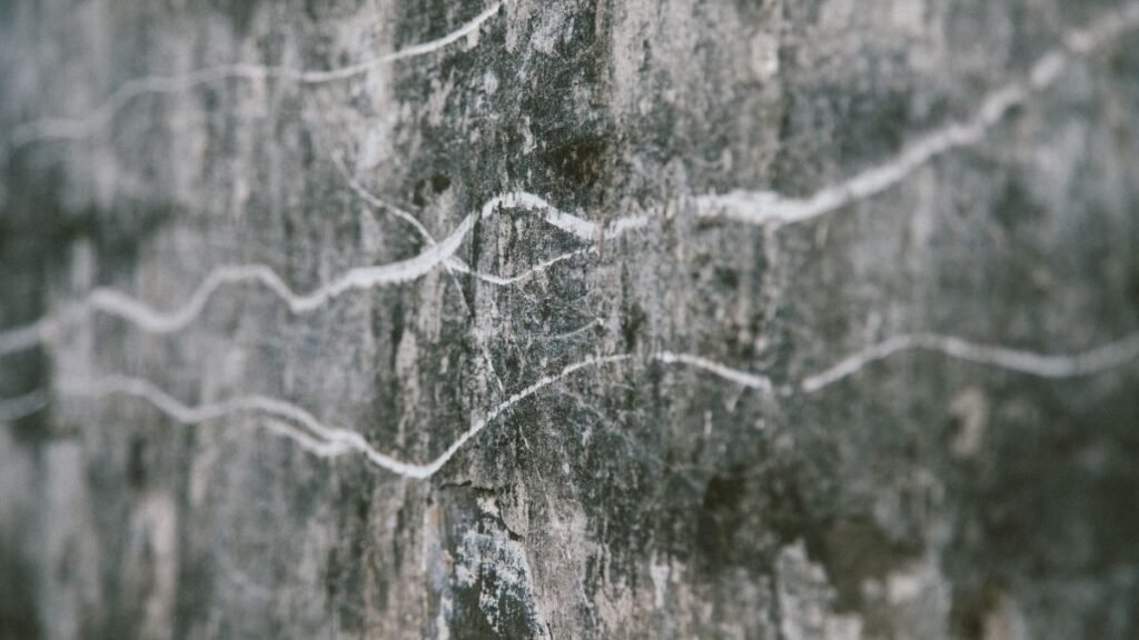how to remove water stain from walls